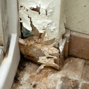 Drywall Problems