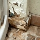 Drywall Problems